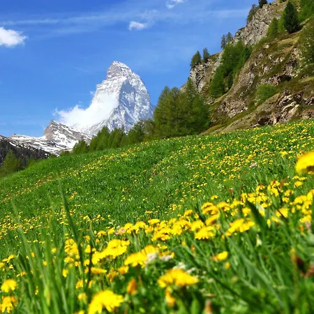 Fis By Interhome Apartment Zermatt